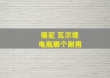 骆驼 瓦尔塔 电瓶哪个耐用